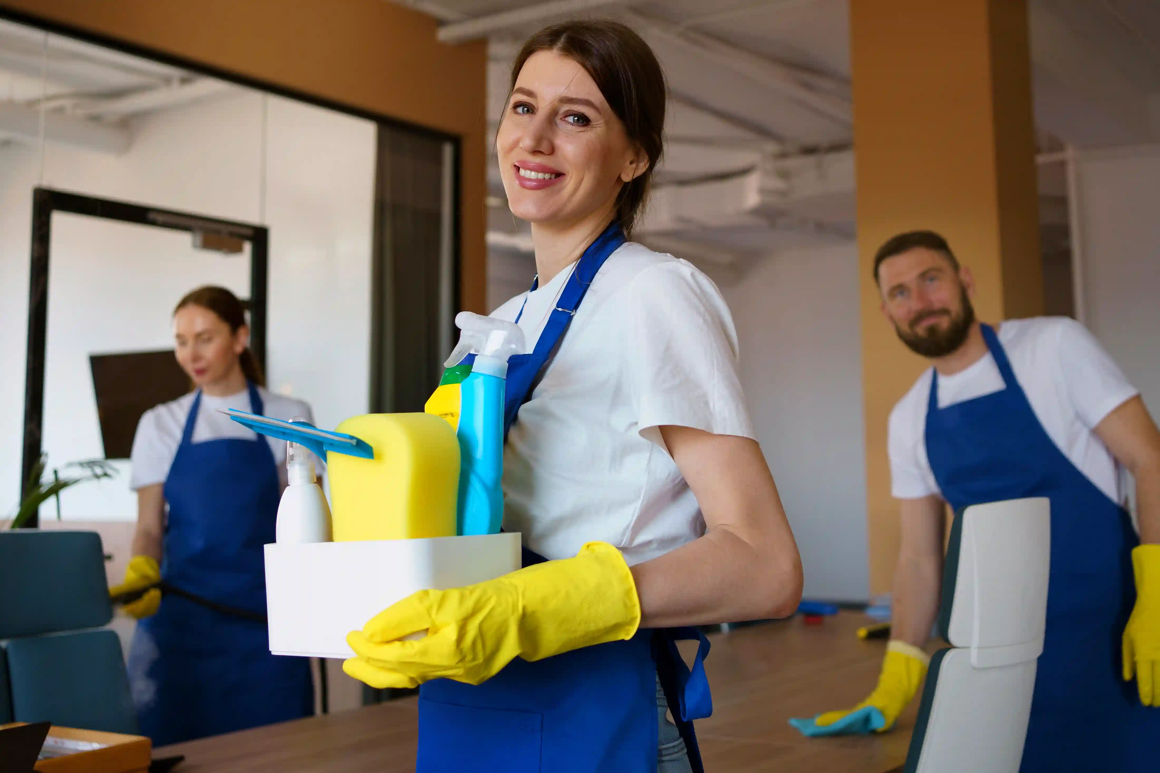 Volentrax Cleaning Services